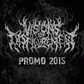 Visions Of Disfigurement : Promo 2015 Visions Of Disfigurement : Promo 2015